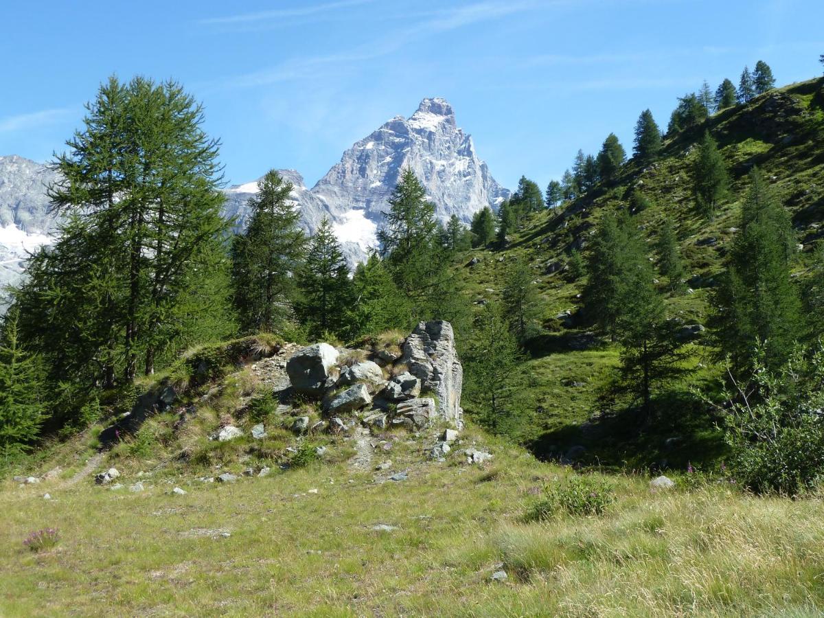 Апартаменты Le Petit Refuge Cervinia Брей-Червиния Экстерьер фото