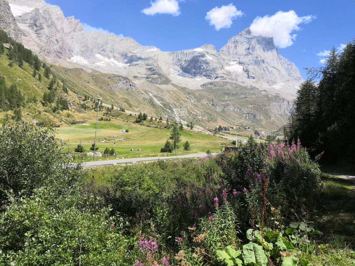 Апартаменты Le Petit Refuge Cervinia Брей-Червиния Экстерьер фото