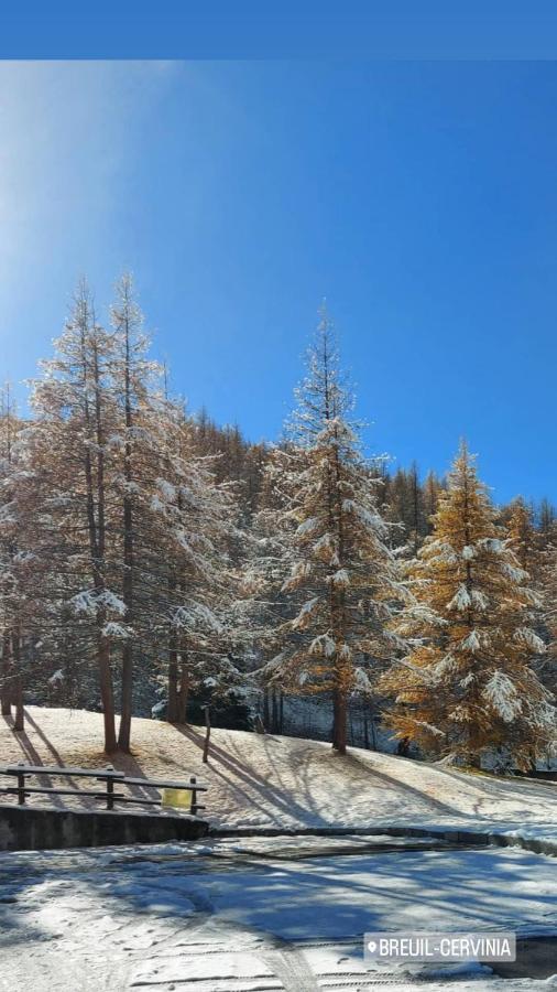 Апартаменты Le Petit Refuge Cervinia Брей-Червиния Экстерьер фото