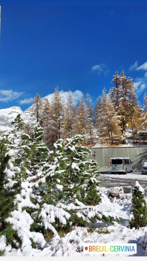 Апартаменты Le Petit Refuge Cervinia Брей-Червиния Экстерьер фото
